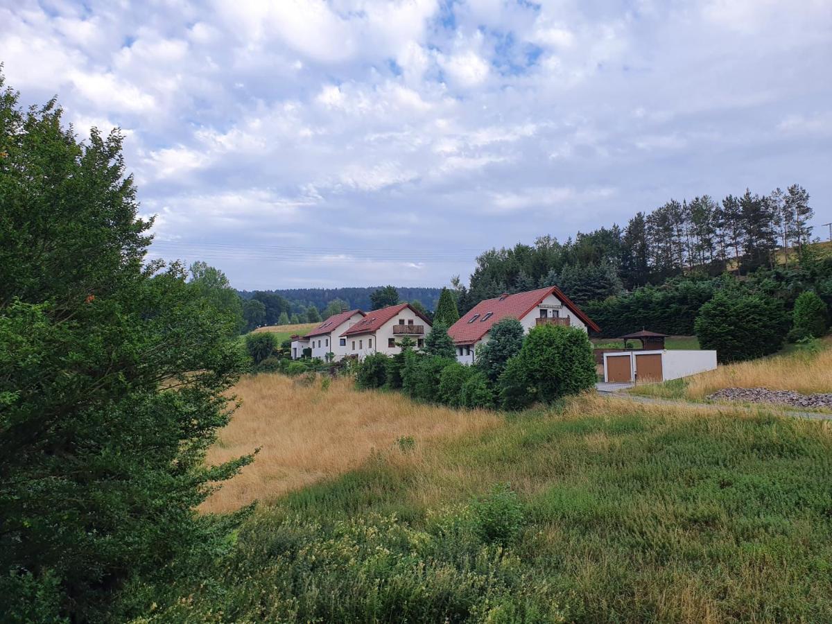 Ferienwohnung Ost - Alte Schule Sachswitz Greiz Buitenkant foto