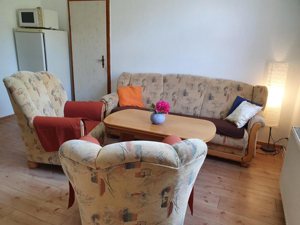 Ferienwohnung Ost - Alte Schule Sachswitz Greiz Buitenkant foto